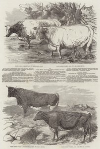 Tentoonstelling van de Koninklijke Landbouwmaatschappij van Engeland